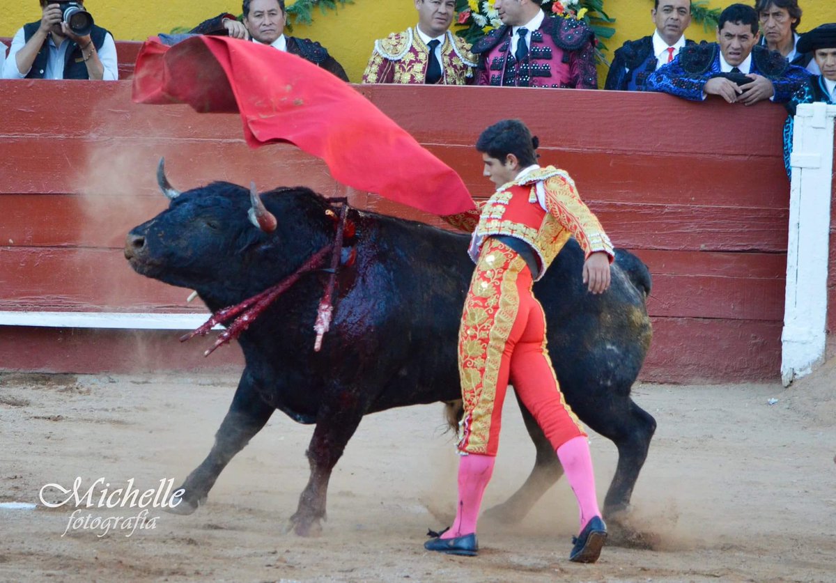 Michelle P. Alanis tweet media