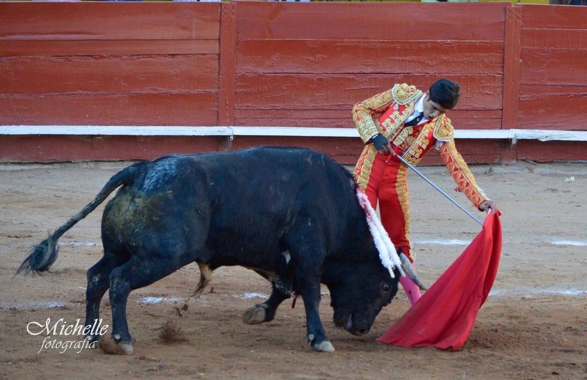 Michelle P. Alanis tweet media