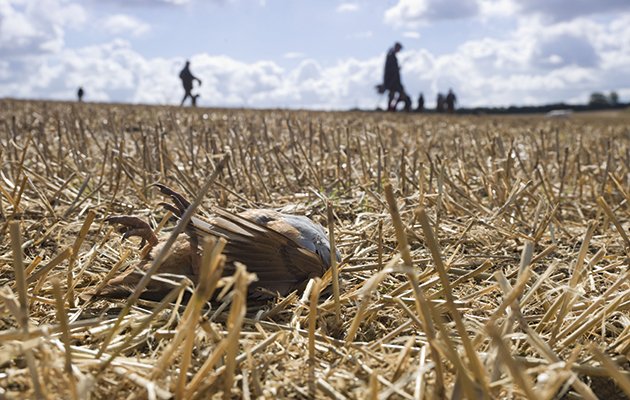 TheFieldmag's tweet photo. The etiquette for picking up. Vital knowledge for the season https://t.co/vFYkDEVW63 https://t.co/Cvda6x9R27