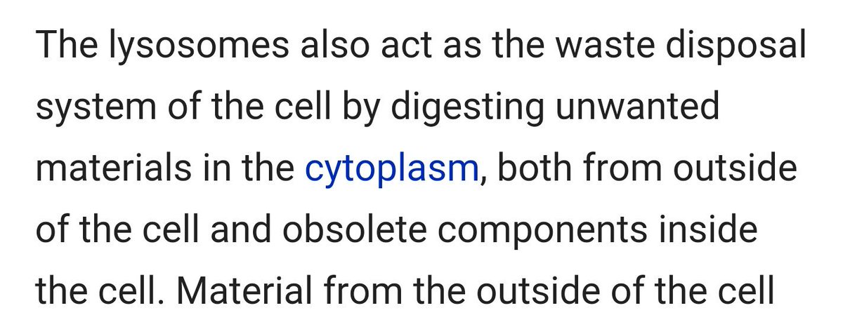 XVoteLysosomesX's tweet photo. @Vitalvacuole you don't hold my waste so 🤔 #getyourfactsstraight #votelysosome #LPHSorganelleelction2016 https://t.co/jWNXB7apKH