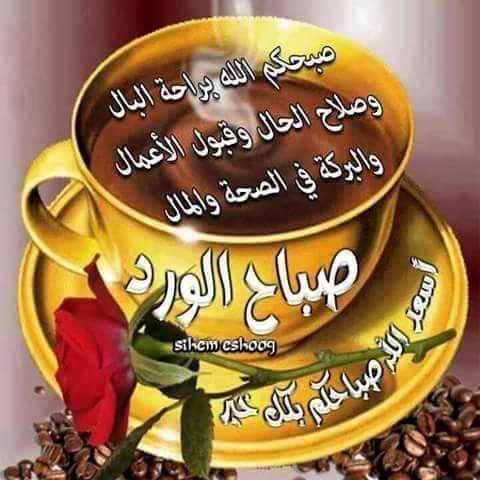ppl_iy's tweet photo. صباح جديد يبعث الامل بتحرير الموصل بات وشيكا اللهم احفظ العراق واهله ووحد كلمتهم وانصر  القوات المسلحة والحشد الشعبي https://t.co/B6lKnWQtqS