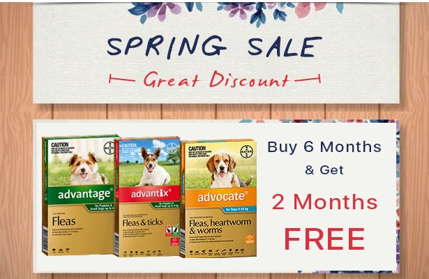 vetsupplyau's tweet photo. @puppy_gogo Hurry! Grab Free Doses + Extra 5% Discount + FREE Shipping ClickHere: https://t.co/TB319Aht6V #AdvocateDog #Advantix #FleaTick https://t.co/qFjtDfzqC9