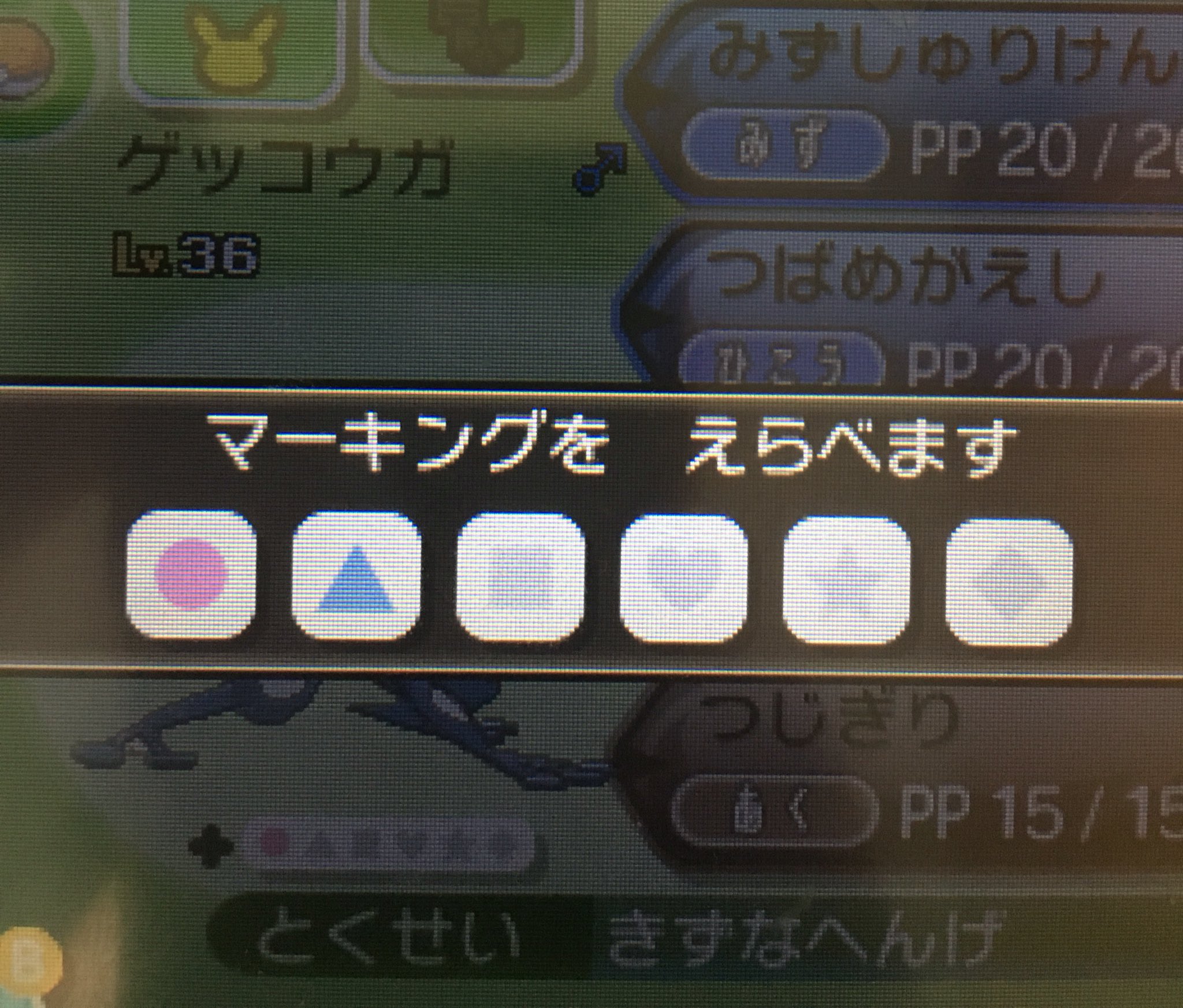 تويتر やっさん على تويتر ポケモンサンムーンの体験版やって気づいた マーキングの色が2種類になってる 個体値v以外にも個体値 Uとか個体値0を識別するときに便利そう ポケモン T Co Lxzagcqbdq تويتر やっさん على تويتر ポケモンサンムーンの体験版やって気づいた マーキングの色が2種類になってる 個体値v以外にも個体値 Uとか個体値0を識別するときに便利そう ポケモン T Co Lxzagcqbdq