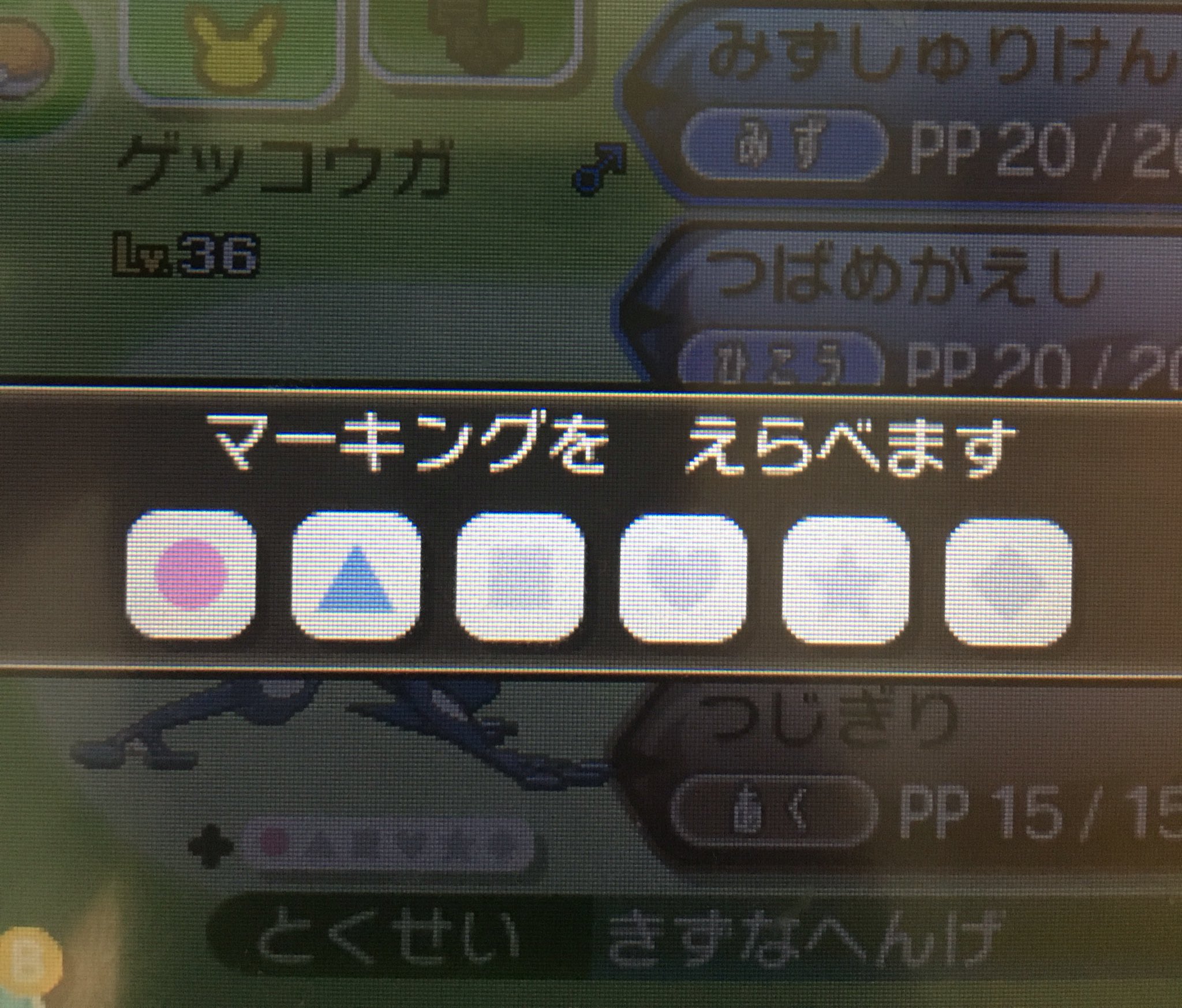 ট ইট র やっさん ポケモンサンムーンの体験版やって気づいた マーキングの色が2種類になってる 個体値v以外にも個体値uとか個体値0を識別するときに便利そう ポケモン T Co Lxzagcqbdq ট ইট র