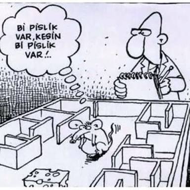 arzuerkan_'s tweet image. #trtradyo1 saat 11&apos;de Düşünceden Duyguya&apos;da : #şematerapi #kuşkuculuk #güvensizlik #kötüyekullanılma #şüphe #kıskançlık #şema konuşacağız.