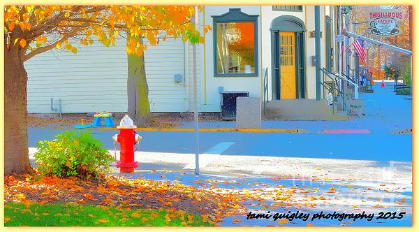 New artwork for sale! - "Traipsing In Belvidere Town" - tami-quigley.pixels.com/featured/traip… @fineartamerica