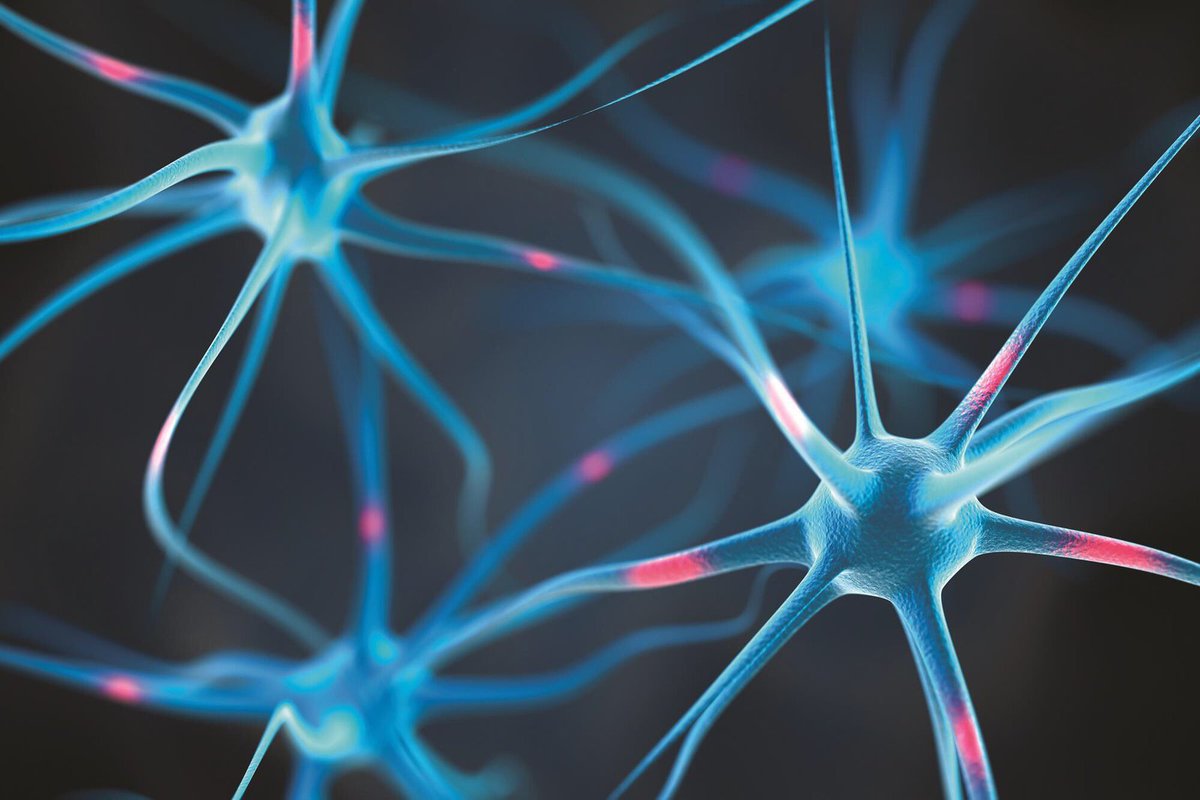 ‘Artificial brain’ aces undergrad organic chemistry test chemistryworld.com/news/artificia…