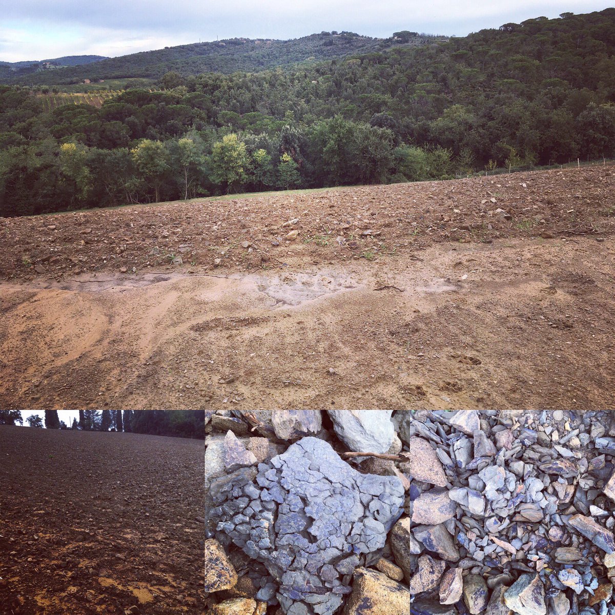 poggioliviera's tweet photo. Tutto pronto per l'impianto del nuovo #vigneto #vineyard #chianticlassico #toscana #tuscany #galestro https://t.co/kbZX8lAw1y