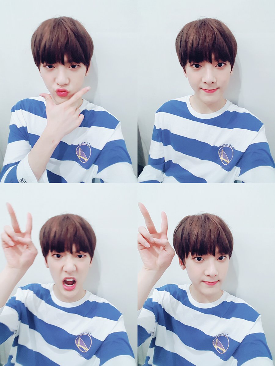 offclASTRO's tweet photo. 아로하팬분들 오늘따라 유난히 더보고싶네요...😢하루 마무리잘하고!!아프지마용♡
#4컷요정 #😇 https://t.co/5qeuY7asoY