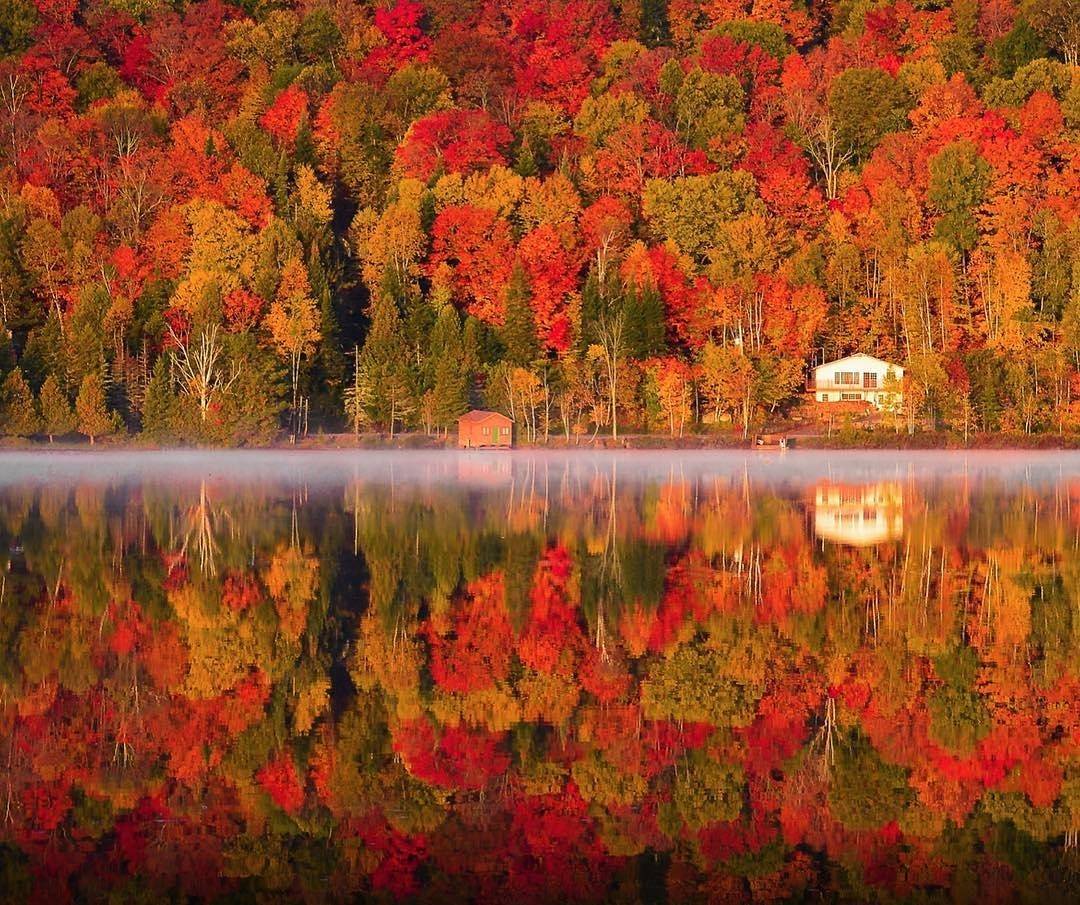ExploreCanada's tweet photo. The perfect spot for a peaceful retreat in Quebec's parc national du Mont-Tremblant. 📷  jjfenton77/Instagram #ExploreCanada https://t.co/C52e5v8DbW