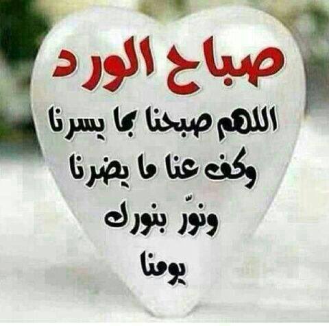 mahdi_lshhmani's tweet photo. @Tatbeer203 @anoosad6 @Q8Alzeeen @ZAHRAAfog @ebtihajafar @lonh21 https://t.co/SSNSoB9mLj