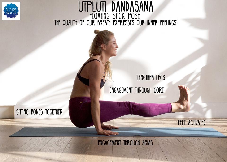 Utpluti dandasana a floating stick pose that opens the whole new world of  learning the dance between you and the earth... added to Google Drive
