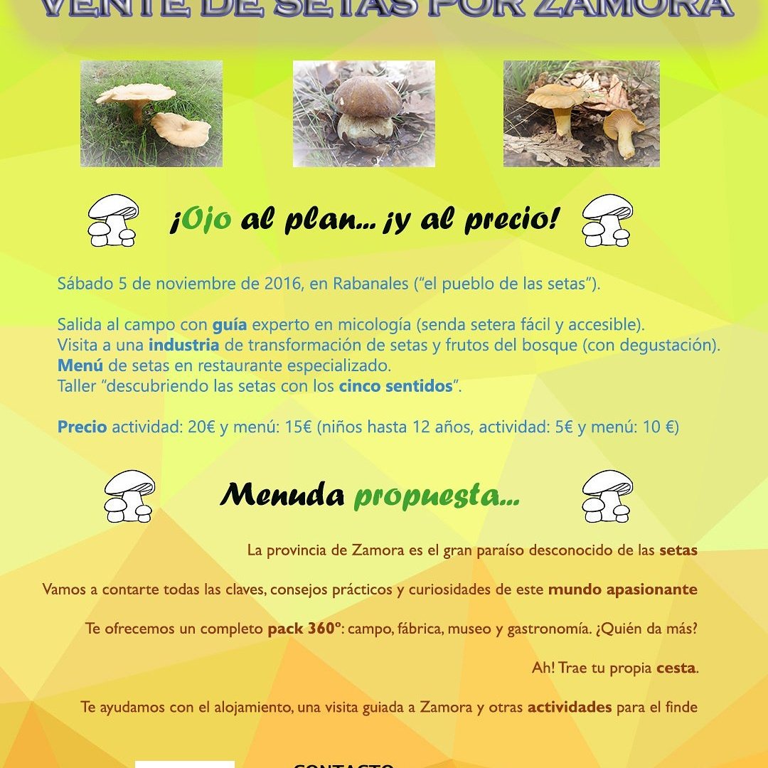 turismozamora's tweet photo. Te lo vas a perder??? #setas en #Aliste #Zamora @QueHacerHoyRD @CestaySetas @DANIROVIRA https://t.co/1nJWZqRpY1