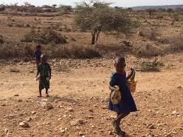 team_samburu's tweet photo. On 21st October Samburu G United team will be holding a clean-up at kisima with the locals #GUnited2016 #environment https://t.co/Jmnz9SRYPc