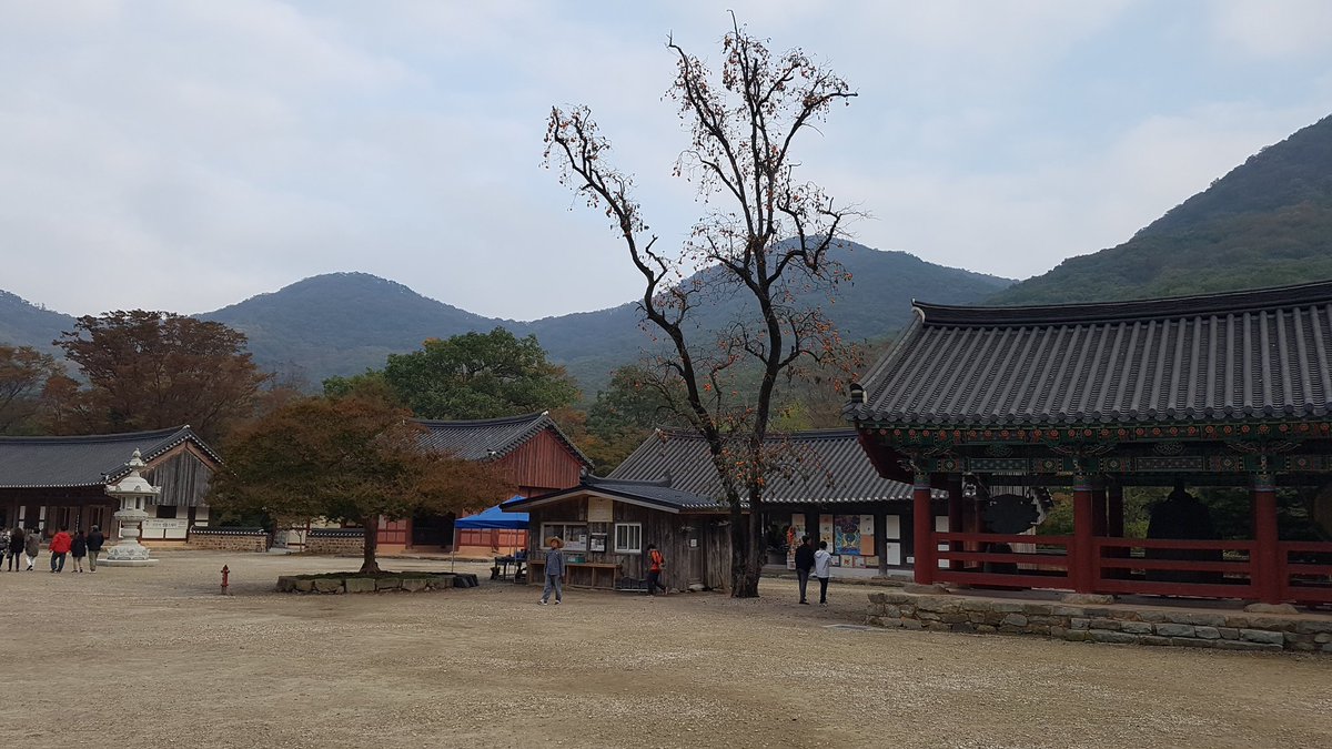 Peterk20854974's tweet photo. 절의 가을 풍경 https://t.co/yJop90qzuf