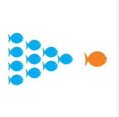 Moodle HQ (@moodlehq) on Twitter photo Hi guys you may have noticed that we haven't posted in a while. To keep up to date with #Moodle follow <a href="/moodle/">Moodle | Online learning, delivered your way.</a> Hi guys you may have noticed that we haven't posted in a while. To keep up to date with #Moodle follow <a href="/moodle/">Moodle | Online learning, delivered your way.</a>