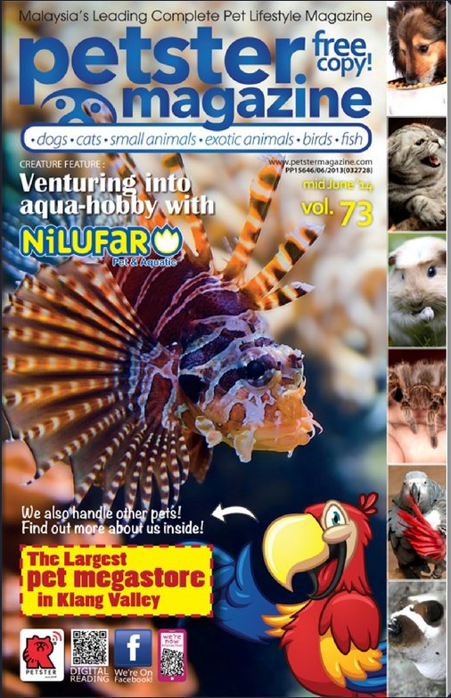 Fliphtml5 Fliphtml5