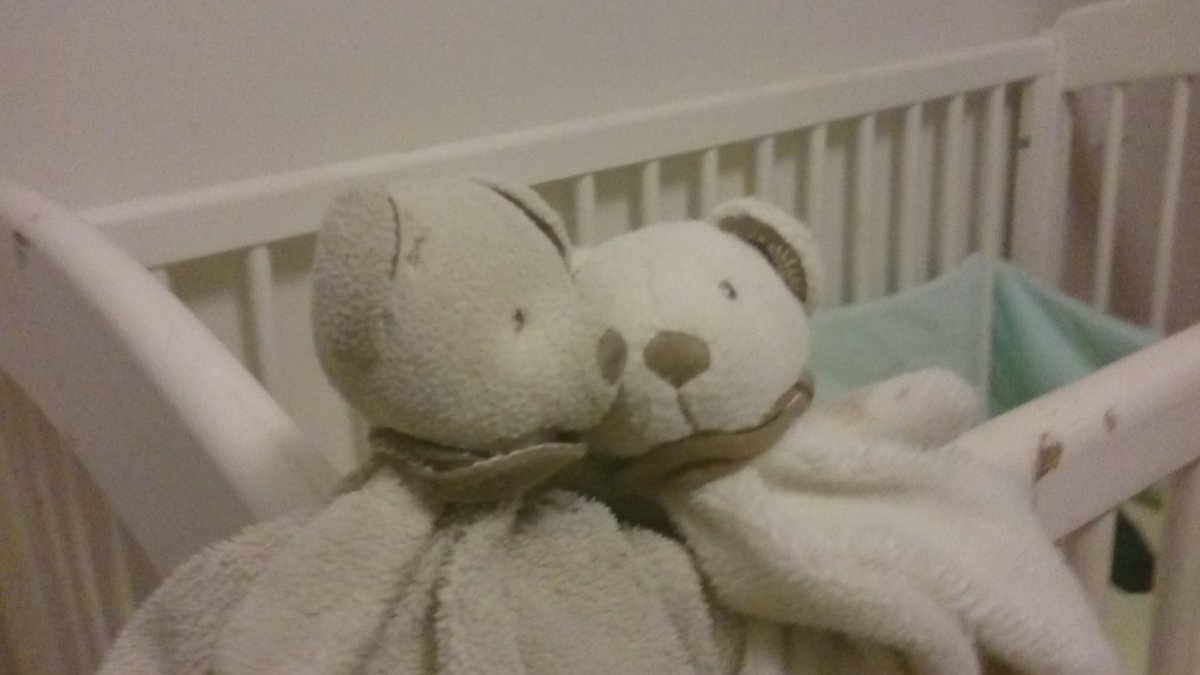 StevenLeRoy6's tweet photo. Perdus Toutou Jeune et Toutou Vieux entre Anna Marly et l'école Jacquard lundi matin à Brest. Quelqu'un les a ? #sosdoudou #doudou https://t.co/3Zj36ZNiYZ