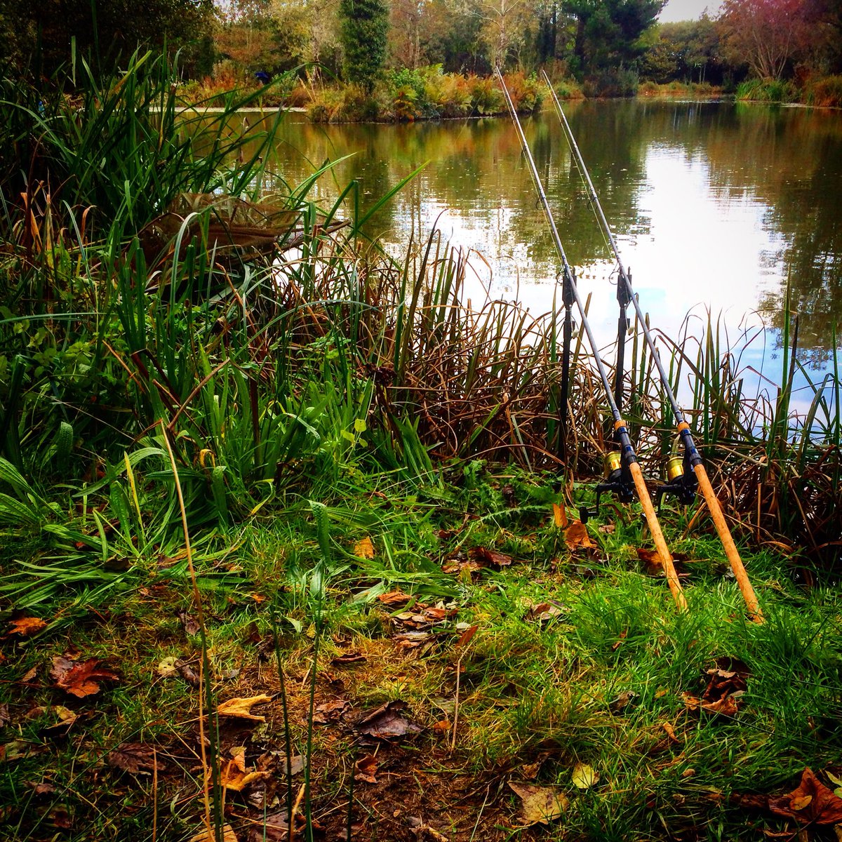 carpmarathon's tweet photo. Day Three, Their's a few on today but I've managed to find myself a nice quiet corner away from the pressure #PatsPool https://t.co/3tkAxV9GPr
