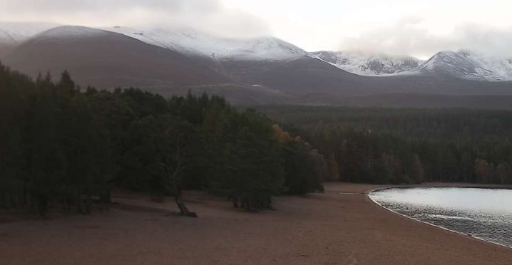 scottish_o's tweet photo. Snow at HQ! Here's to #winterorienteering! https://t.co/jA31Lb8oCR