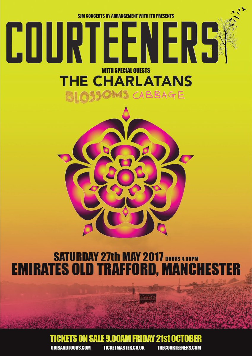 Visit Manchester tweet media