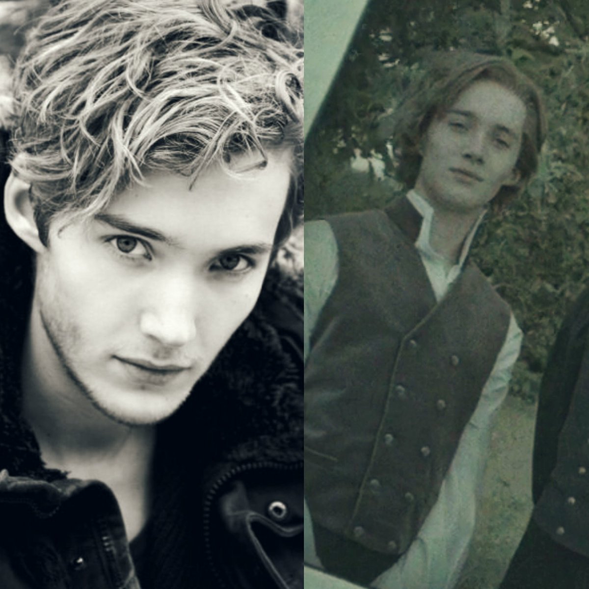 toby from harry potter toby from harry potter