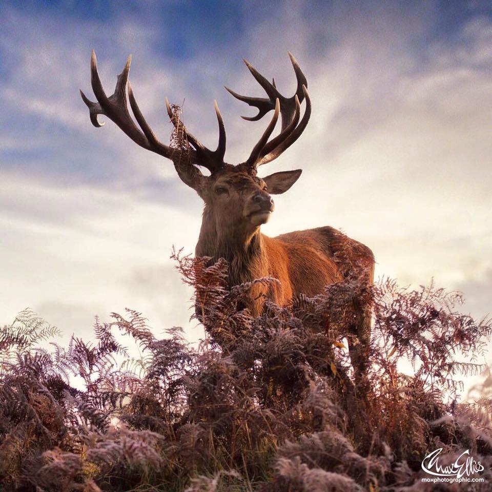scotbreaks's tweet photo. Planning a #getaway soon? We're making the final tweaks on the website and can't wait to be up and running! #halfterm #luxurytravel #travel https://t.co/pf8GAiLl1p