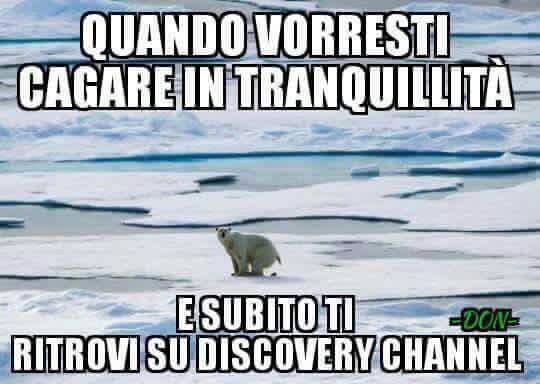 CvCoJJKWYAAlJkI.jpg