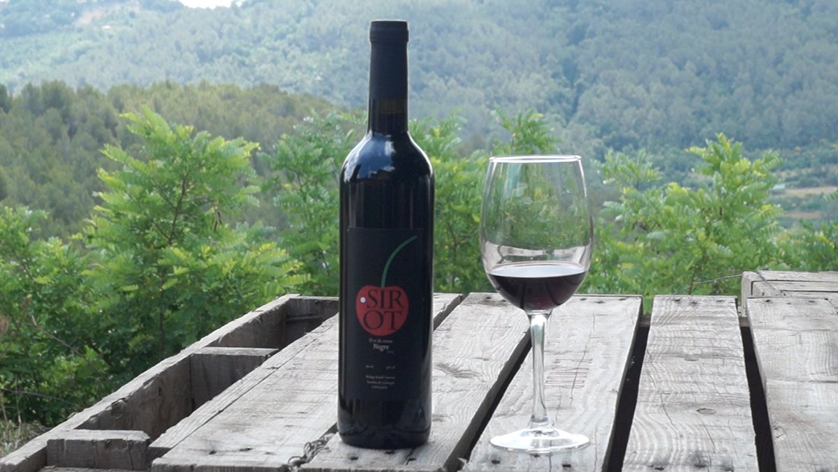 innobaix's tweet image. Sirot és un vi de cirera, únic al mercat i elaborat al Baix Llobregat. El projecte ha rebut l'impuls d'Innobaix. youtu.be/4zdZGUlifGU