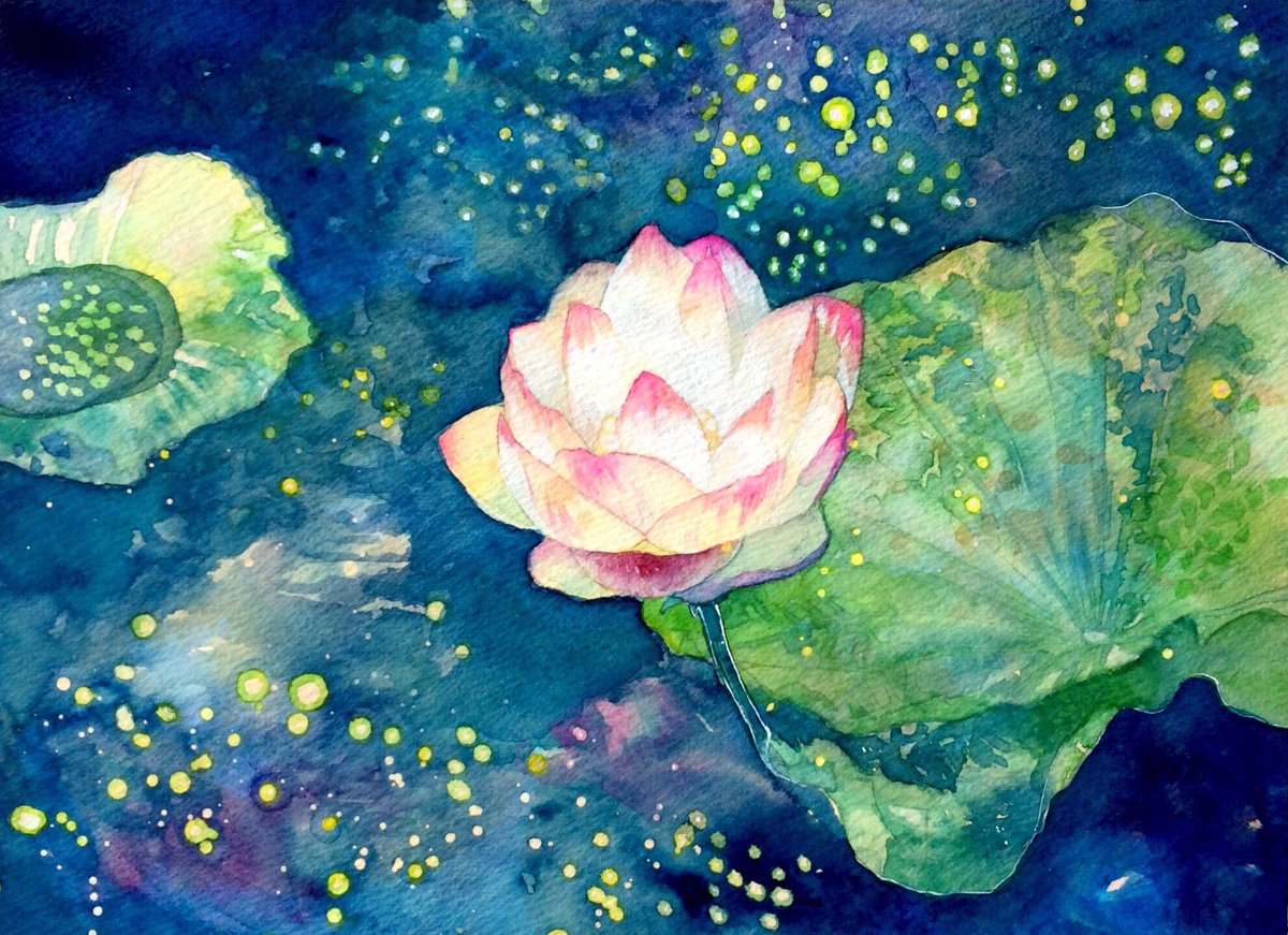 O Xrhsths 綿飴 Sto Twitter 睡蓮 Water Lily 季節の花 ではないですが 叔母の七回忌に合わせて たくさんの愛をありがとう 使用画材 ホルベイン透明水彩絵の具 鉛筆 ターナーアクリルガッシュ マスキングインク マーメイド紙 透明水彩