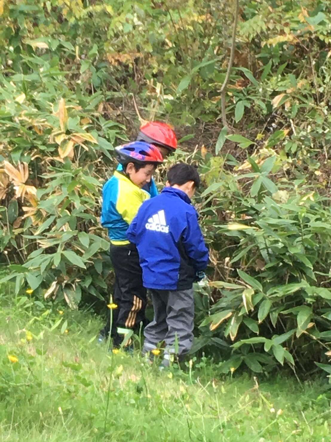 立ちション 小学生 