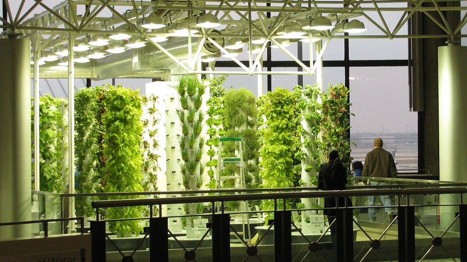 advancednutes's tweet photo. What are the effects of zero gravity on plants? https://t.co/CX6JU0ogiF #aeroponics #hydroponics https://t.co/FseRbiv8i8