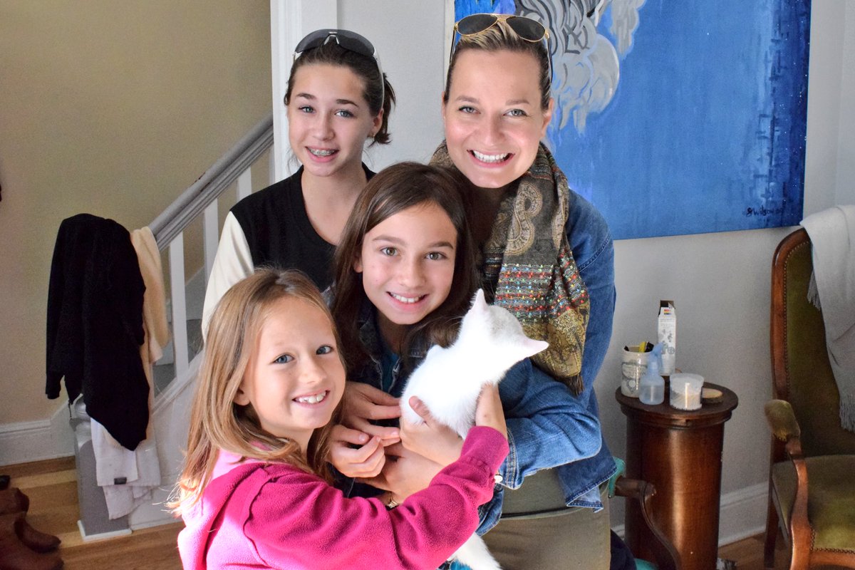 Congrats to Thor who was adopted this weekend by a pre approved adopter at our Meet &amp; Greet <a href="/PetValuKingston/">Pet Valu Kingston</a> #ygk #AdoptDontShop