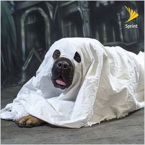SprintCentral's tweet photo. Don't let your cell phone bill scare you anymore! Stop by your local Sprint door this Saturday- 10/22, for amazing #SprintSaysThanks deals! https://t.co/8FXtpJXbwz