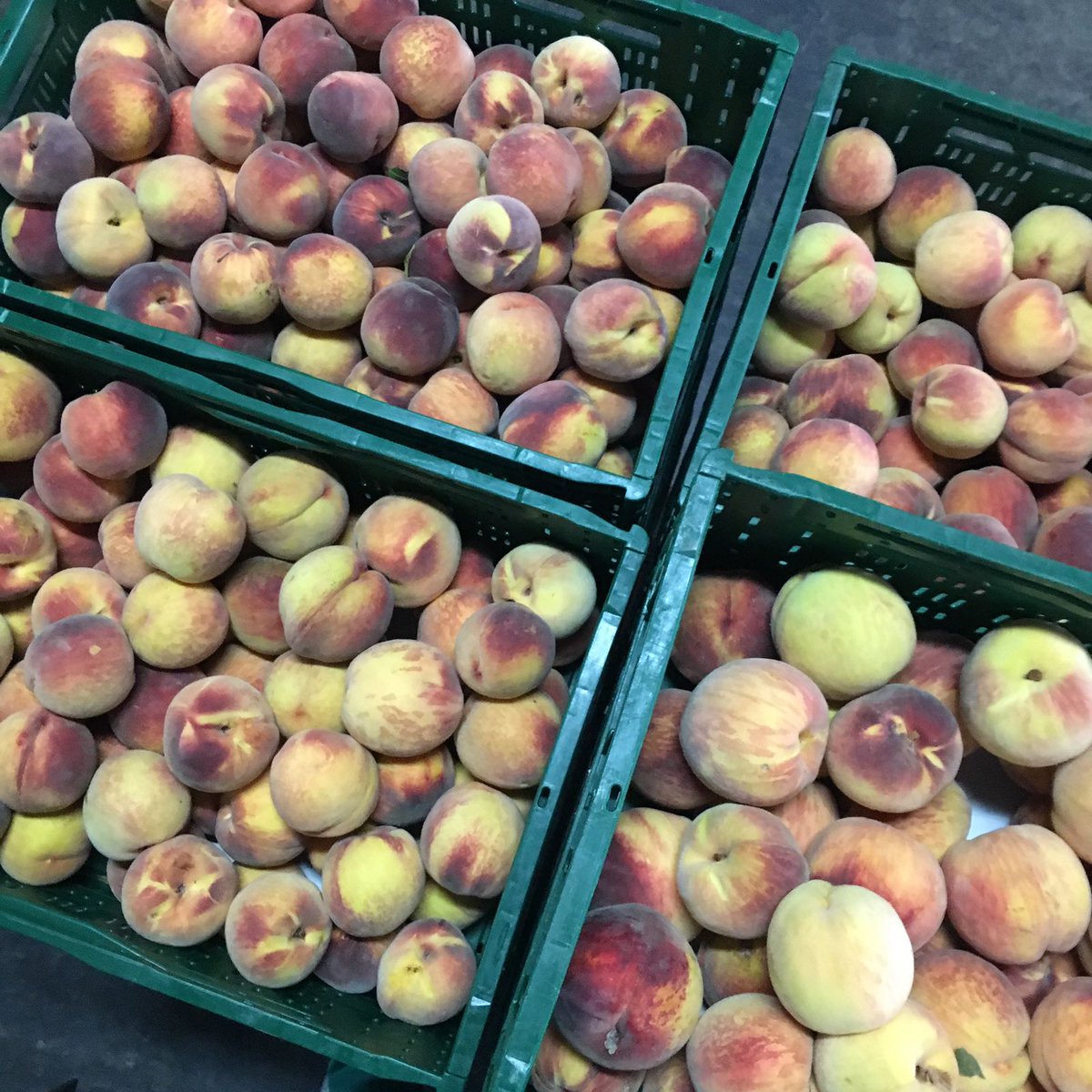 Y los melocotones también #frutirioja. Siempre la mejor fruta
