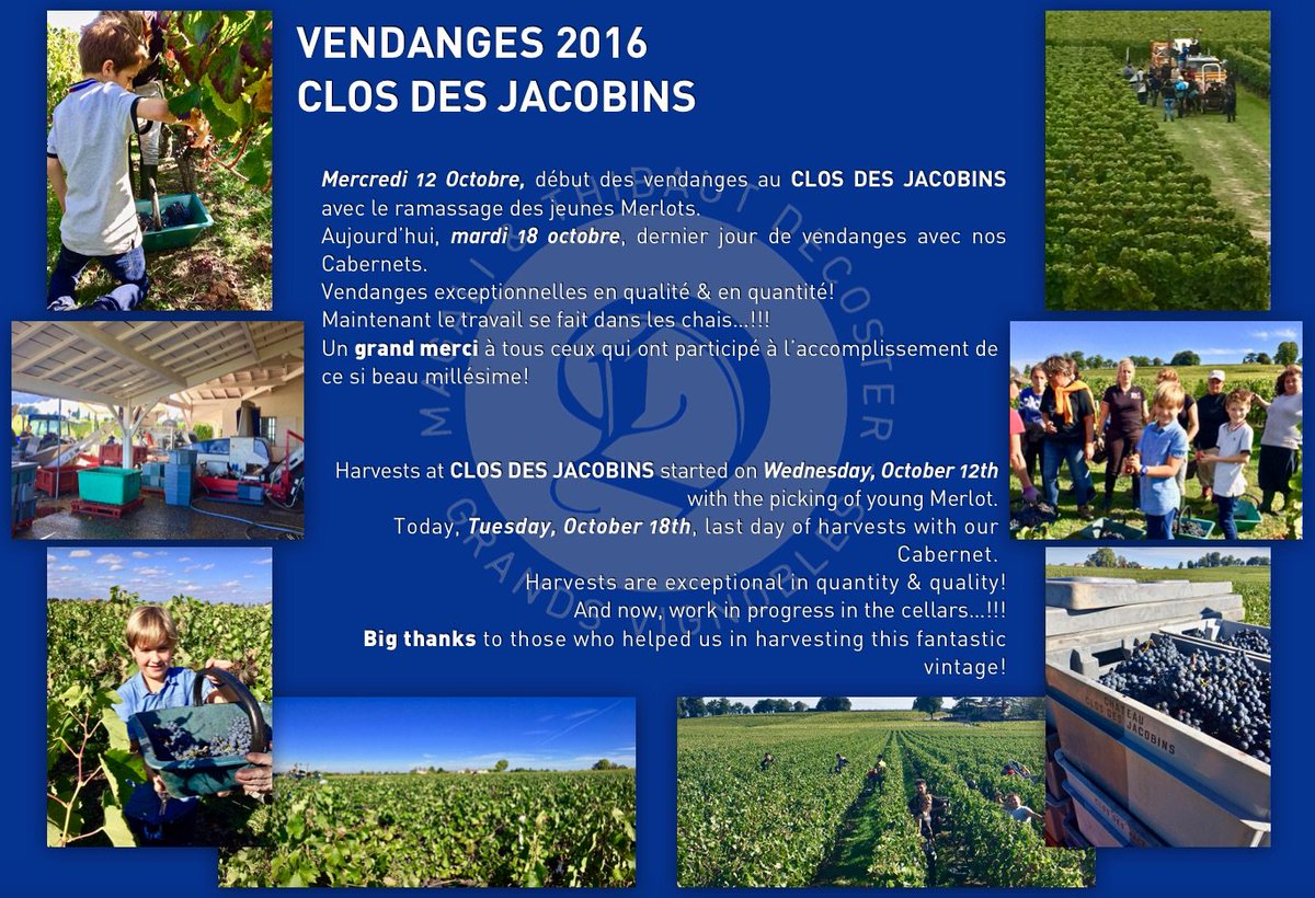 #ClosdesJacobins 2016 #vendanges #harvest #saintemilion #bordeaux #magique #exceptional #wine #vin #vino #vintage2016 #mtdecoster