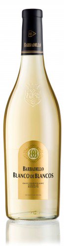 TiendaHallamohe's tweet photo. #promoción #especial  #caja de #vino #Barbadillo con 6 copas de cristal de #regalo en tu #tienda #online #gourmet  https://t.co/FsQL88j716 https://t.co/35HNny5nQA