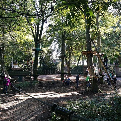 Klimpark Fun Forest tweet media