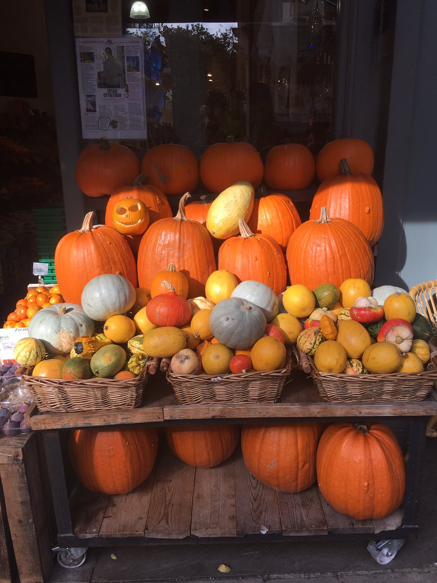 carpet_bags's tweet photo. It is this time of year again....#Halloween beautiful #pumpkins!! https://t.co/NyiMac2A9T