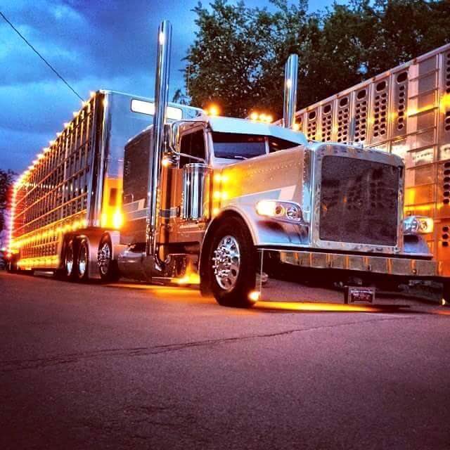 Fish_Boy16's tweet photo. #livestock #peterbilt https://t.co/3DcSe6QHxC