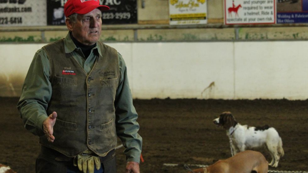 A lot of hunters chasing pheasant in the #Taber area. @morrittjacobs has the story #yql lethbridgenewsnow.com/article/534844…