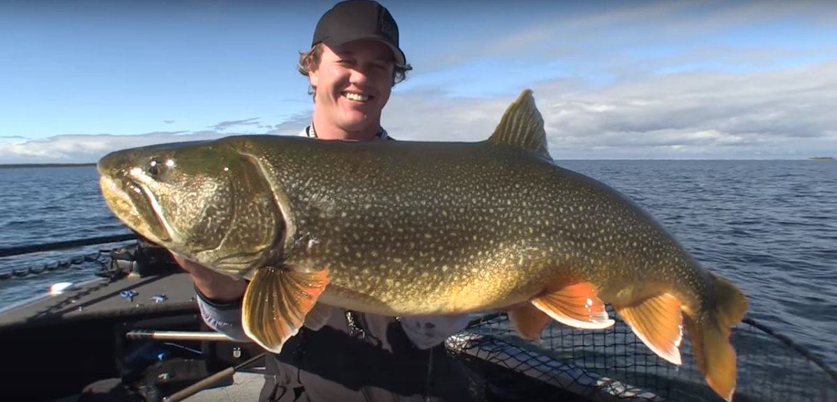 Oak Lake Lodge tweet media