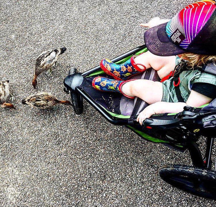 SCOUTFamilyEqpt's tweet photo. Make way for ducklings 🐤 #raiselittleexplorers @bobgear https://t.co/cD4u73FWDQ