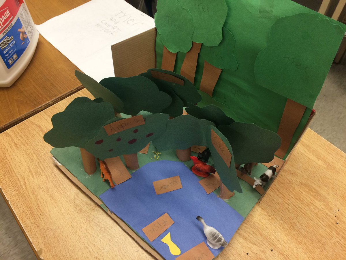 ebfavclass's tweet photo. Some very interesting ecosystems being made. #producers #consumers @pineriveres https://t.co/PSgzSQx4Q0