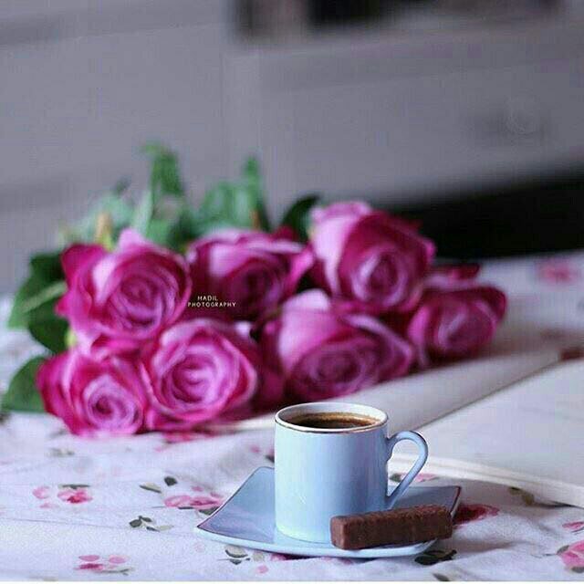 F_h_21's tweet photo. جمالهن يوازي جمال نسيم الربيع 
وليله يضيئها القمر يلمعن هن فيها كالنجوم 
#صديقاتي
#كروب_ممنوع_الكلام
@sammr3 
@hamsmshir

 #مغردات_التويتر https://t.co/af0Sfr47lC