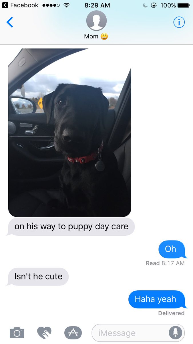 cassaroll97's tweet photo. Literally can't get over how cute he is 😍😍😍 https://t.co/qWDTmOpt36