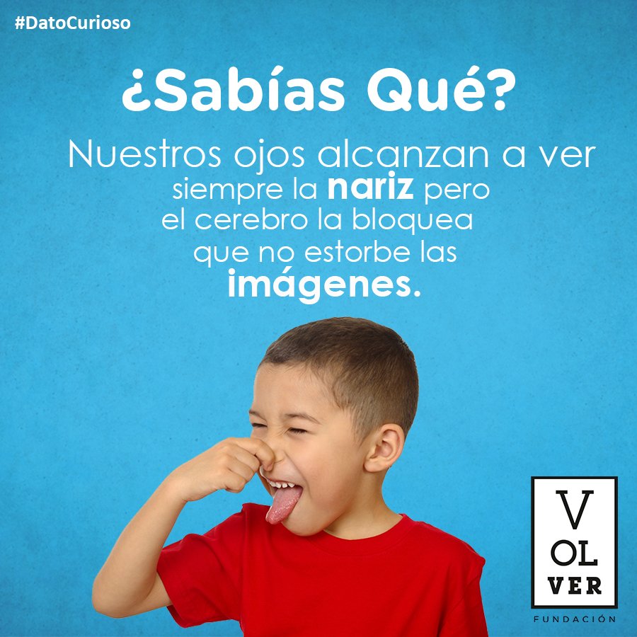 VolverFundacion's tweet photo. #SabíasQué #DatoCurioso #Nariz #Visión #FundaciónVolver https://t.co/GV9Wli9EIs
