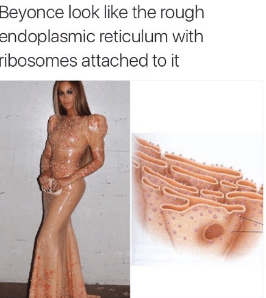 roughERrules's tweet photo. Even Beyoncé endorses ROUGH ER https://t.co/Zg5KnKht8M