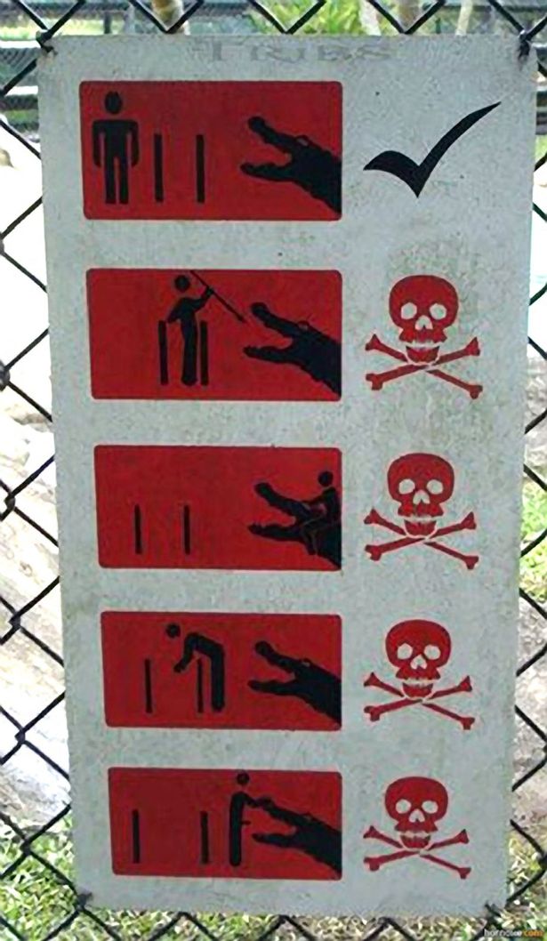 AMD Innovation tweet media