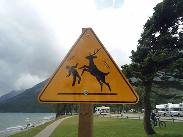 AMD Innovation tweet media